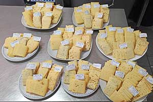 Assortiment de fromages