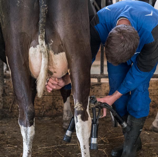 Ferme d'Esclaye